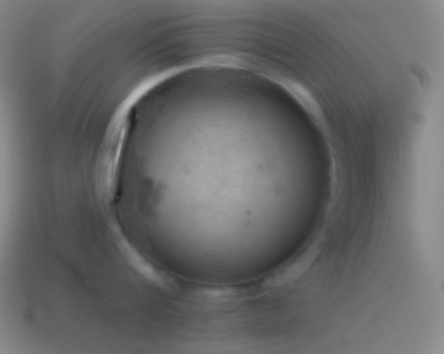 X0000115590816200911101237