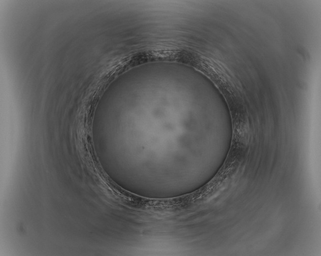 X0000115590817200911101236