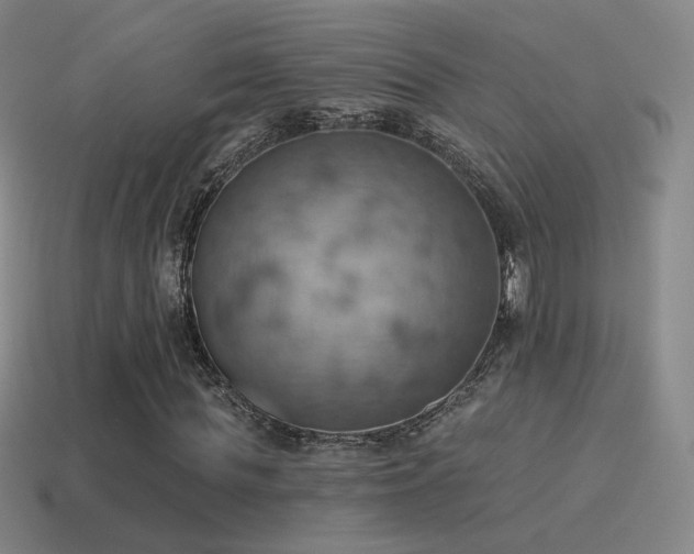 X0000115590819200911101236