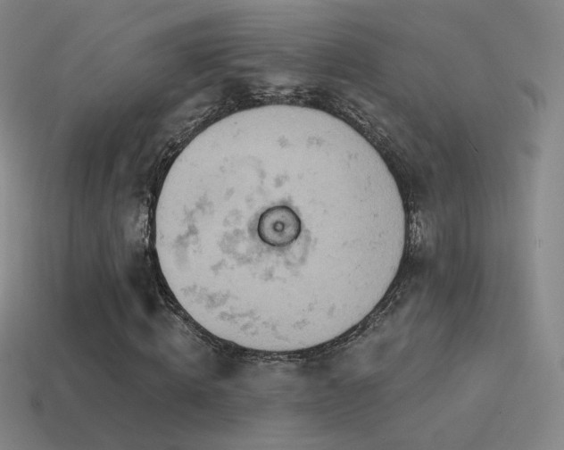 X0000115590820200911101236