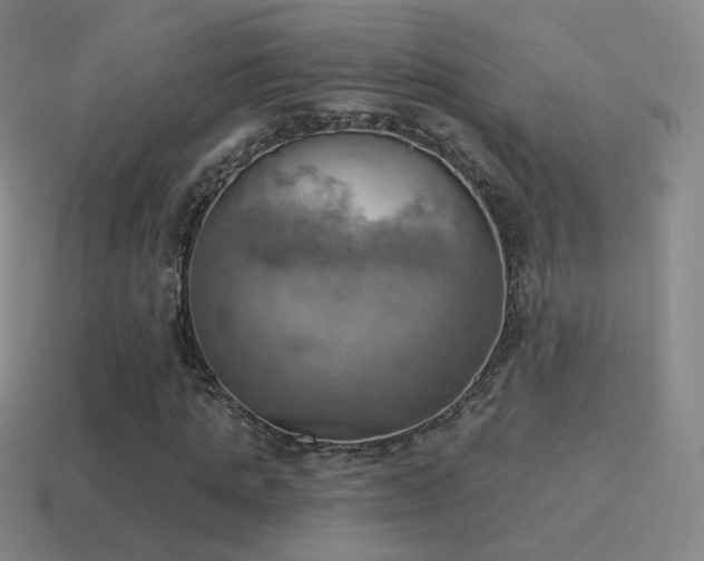 X0000115590821200911101236