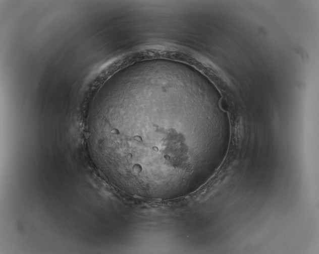 X0000115590822200911101236