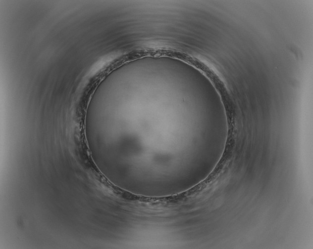 X0000115590823200911101236