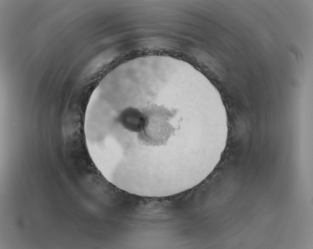 X0000115590824200911101236