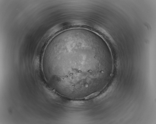 X0000115590825200911101236