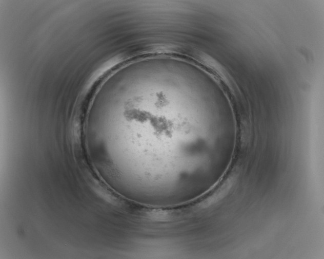 X0000115590827200911101236