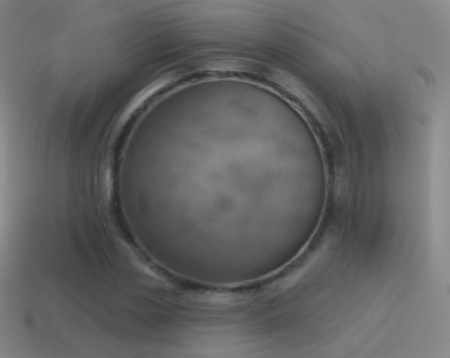 X0000115590829200911101236