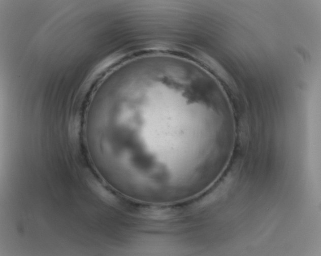 X0000115590831200911101236