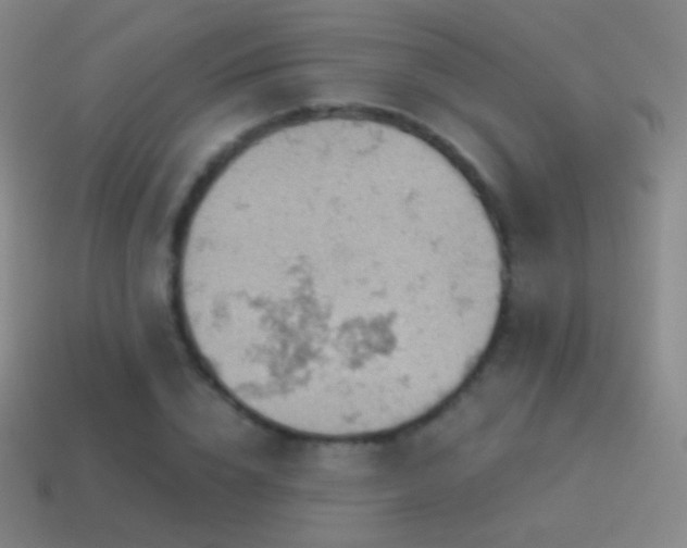 X0000115590832200911101236