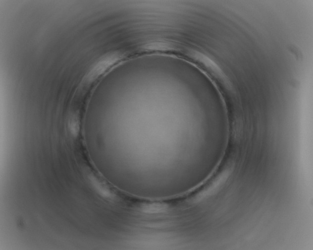 X0000115590833200911101236