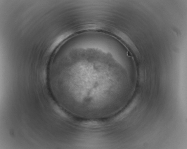 X0000115590834200911101236