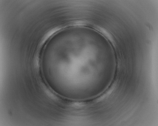 X0000115590835200911101236