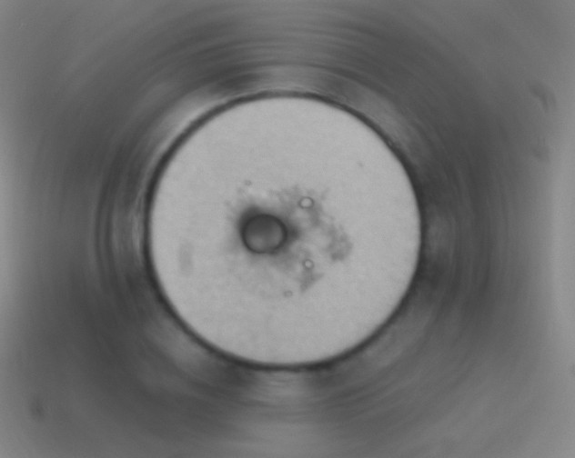 X0000115590836200911101236