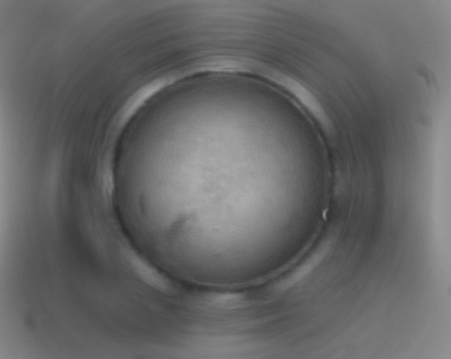 X0000115590837200911101236