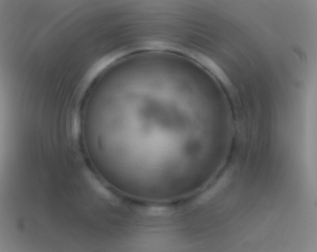 X0000115590839200911101236