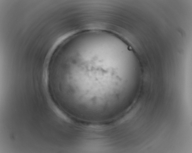 X0000115590840200911101236