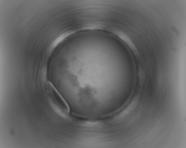 X0000115590842200911101237