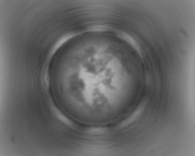 X0000115590843200911101237