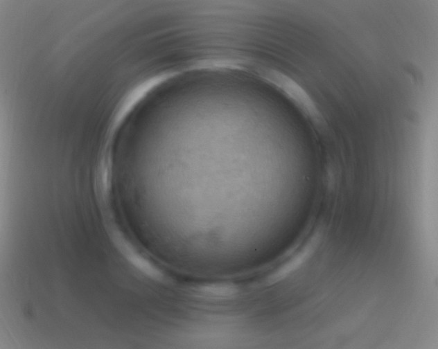 X0000115590844200911101237