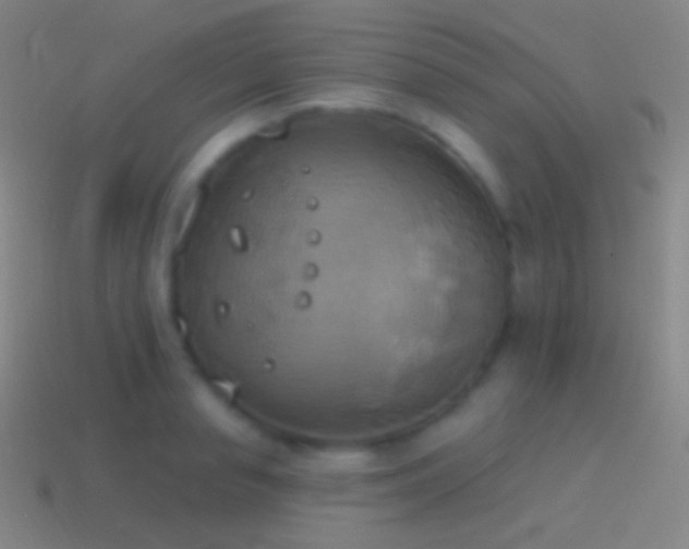 X0000115590845200911101237