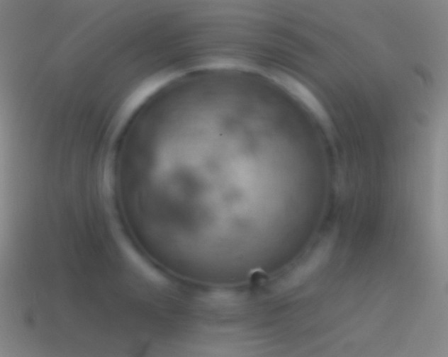 X0000115590847200911101237