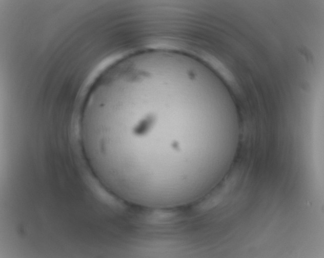 X0000115590848200911101237