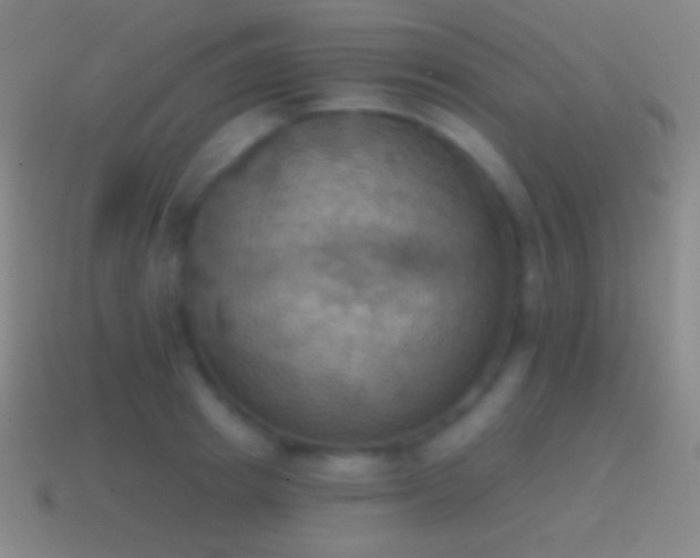 X0000115590849200911101237