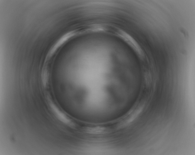 X0000115590851200911101237