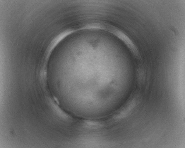 X0000115590852200911101237