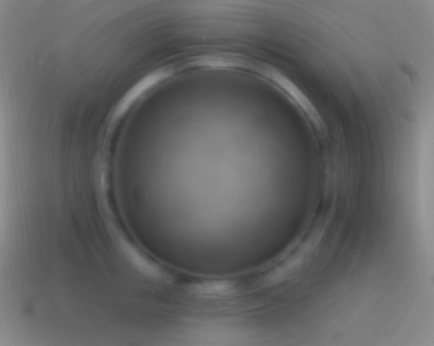 X0000115590853200911101237