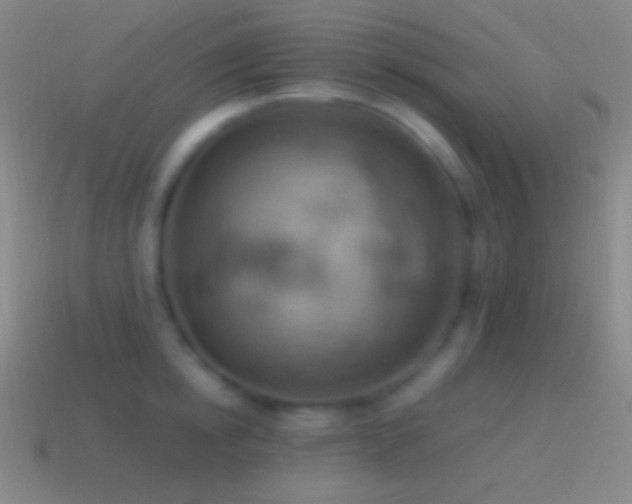 X0000115590854200911101237