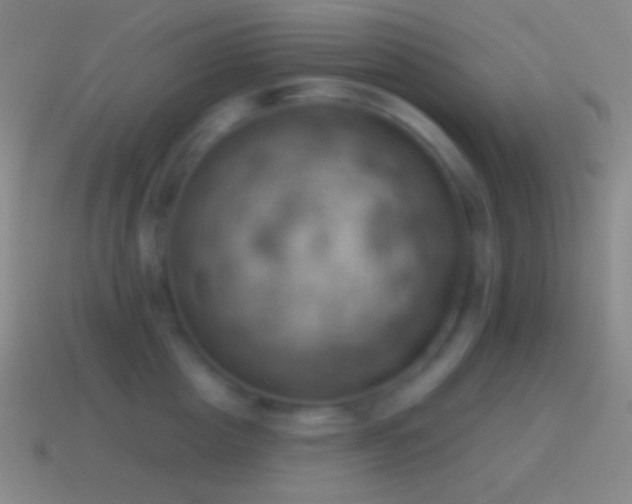 X0000115590857200911101237