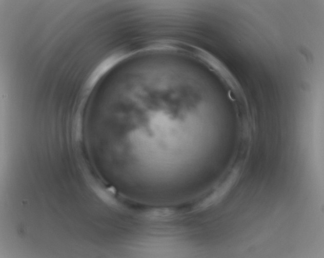 X0000115590858200911101237