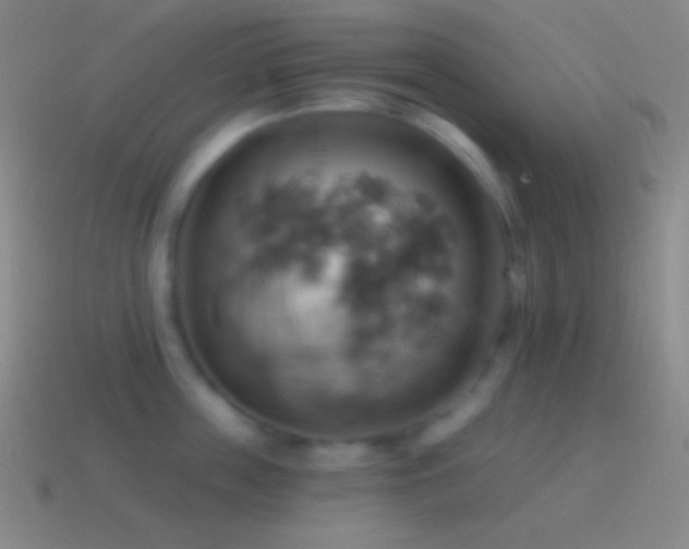 X0000115590859200911101237