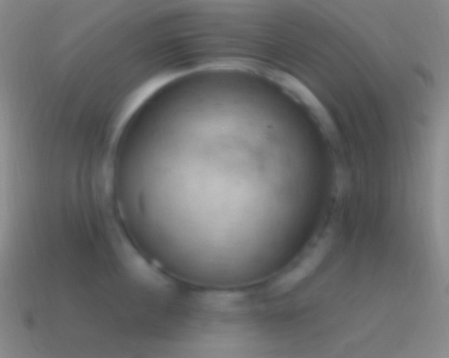 X0000115590860200911101237