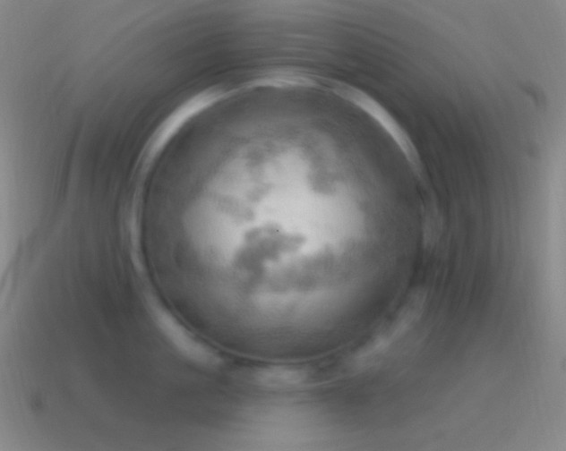 X0000115590861200911101237