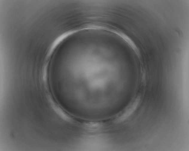 X0000115590862200911101237