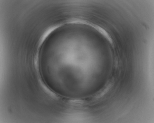 X0000115590863200911101237