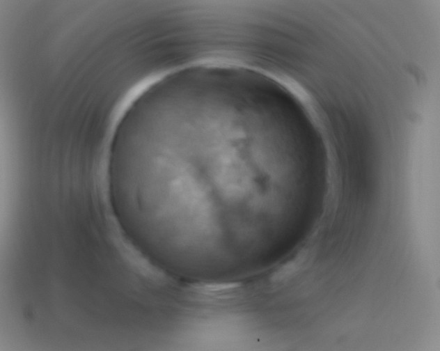 X0000115590864200911101237