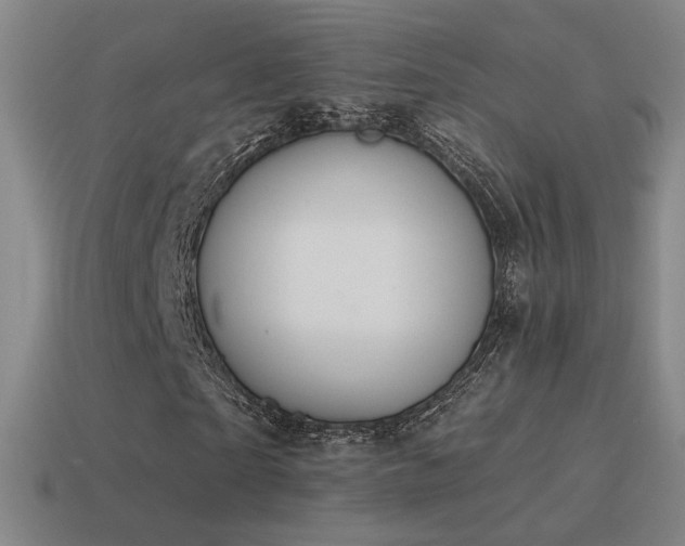 X0000115590865200911101236