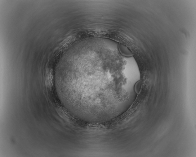 X0000115590866200911101236