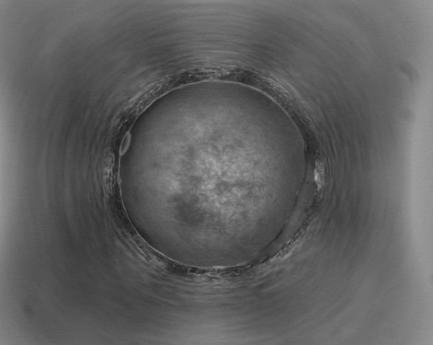 X0000115590867200911101236