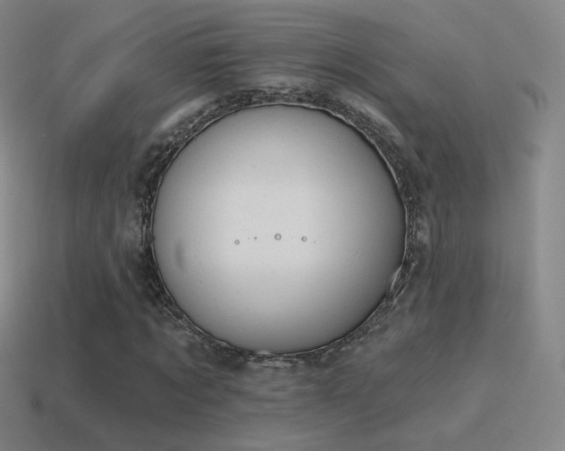 X0000115590869200911101236