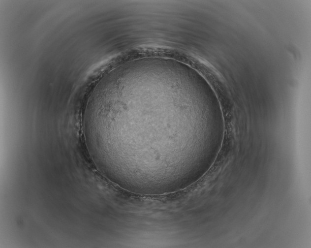 X0000115590870200911101236