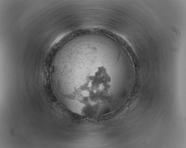 X0000115590871200911101236