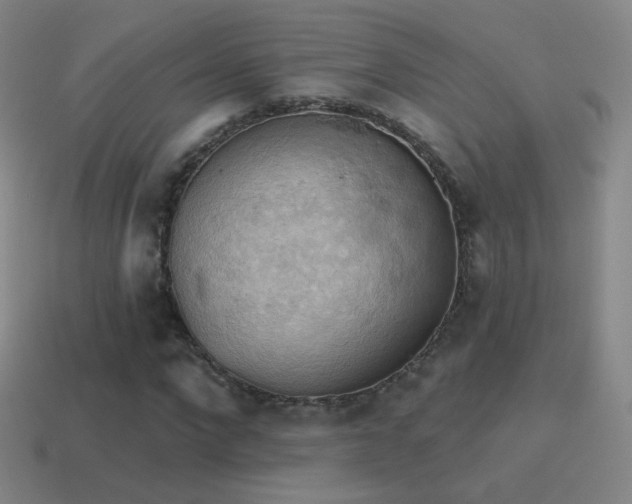 X0000115590872200911101236