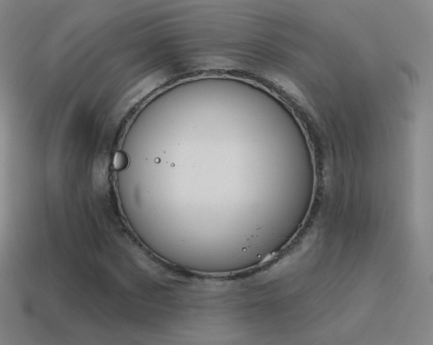 X0000115590873200911101236