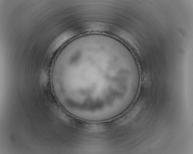 X0000115590874200911101236