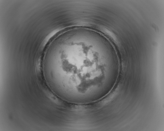 X0000115590875200911101236