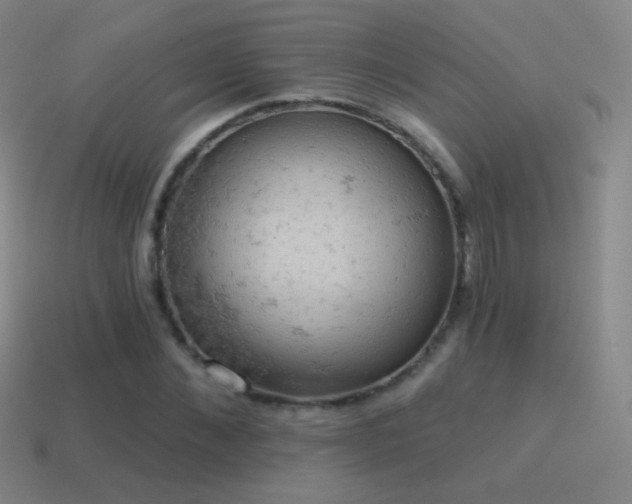 X0000115590876200911101236